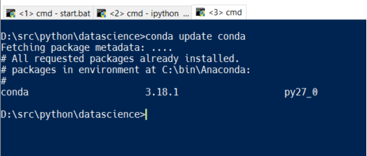 conda install from file